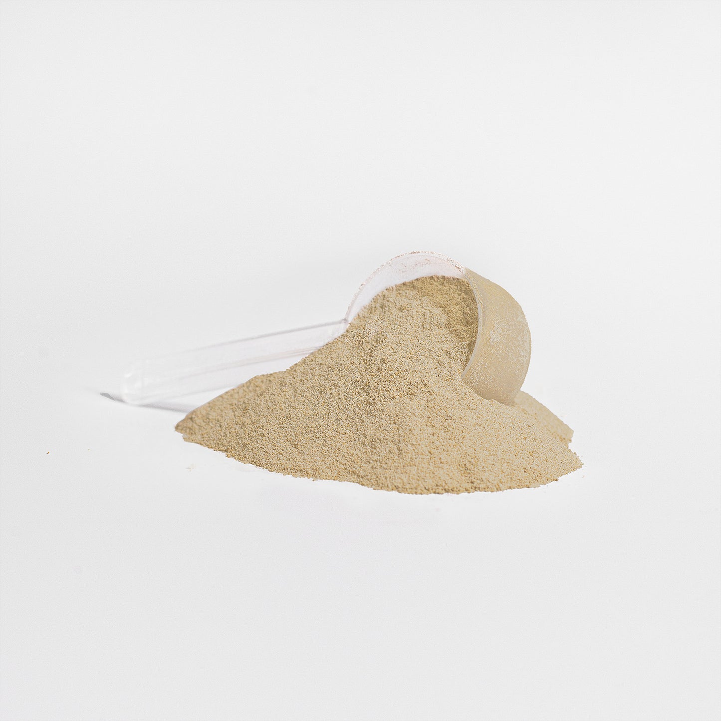 PHYTO-GENESIS VANILLA PLANT PROTEIN