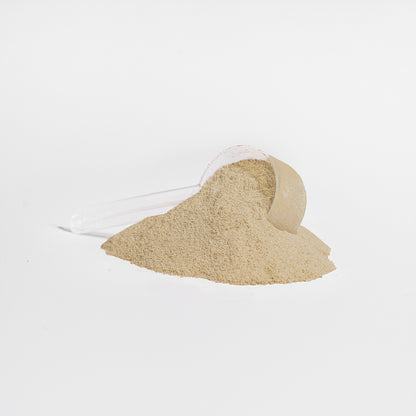 PHYTO-GENESIS VANILLA PLANT PROTEIN