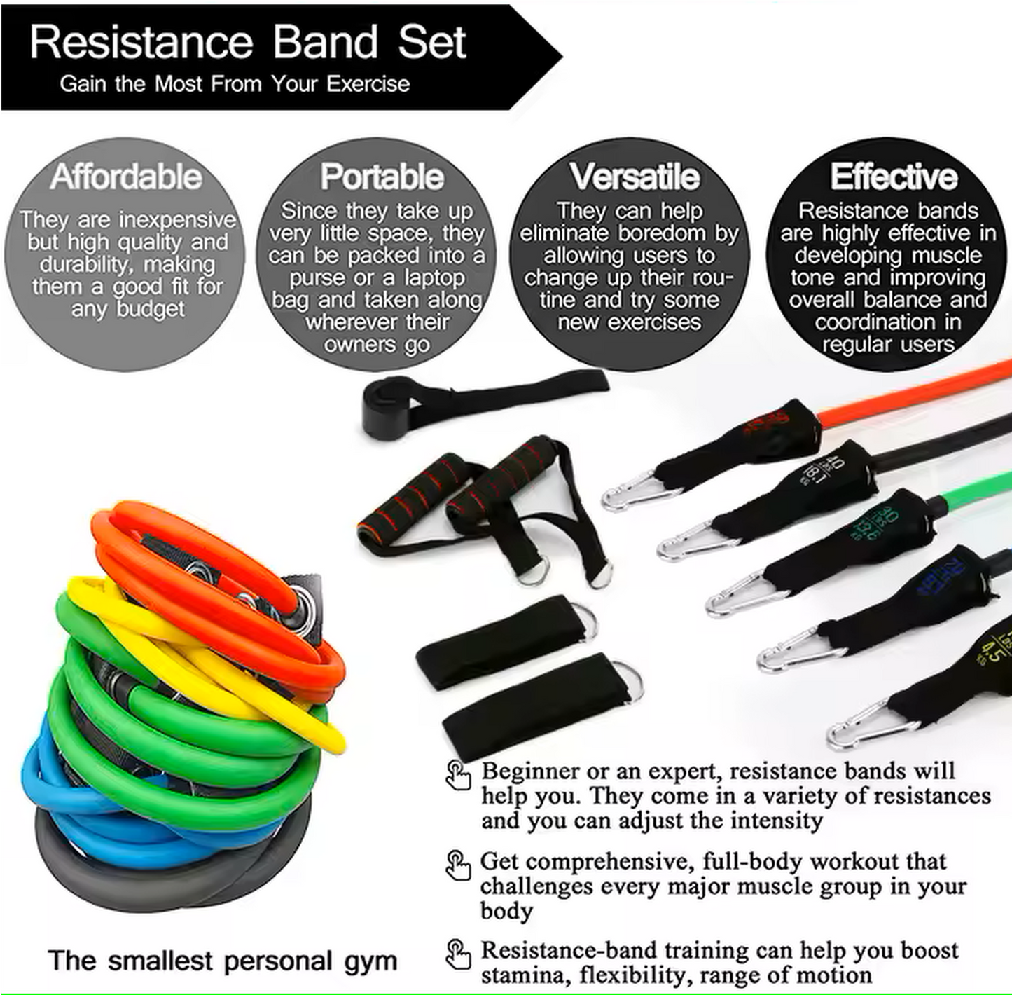 DNA FitLabs Home/Travel Workout Kit