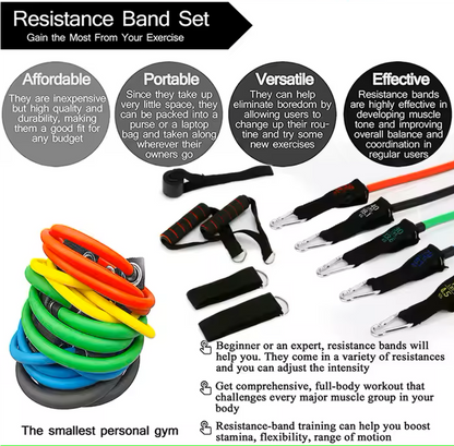 DNA FitLabs Home/Travel Workout Kit