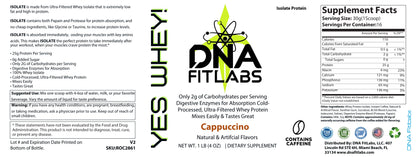 YES WAY 1lb 100% Whey Armor Isolate Protein Cappuccino